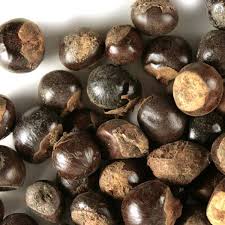 guarana-seed